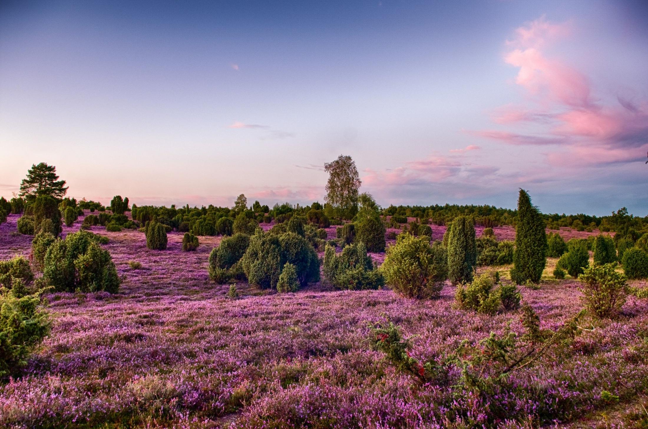 Irro Charter | Busunternehmen | Niedersachsen